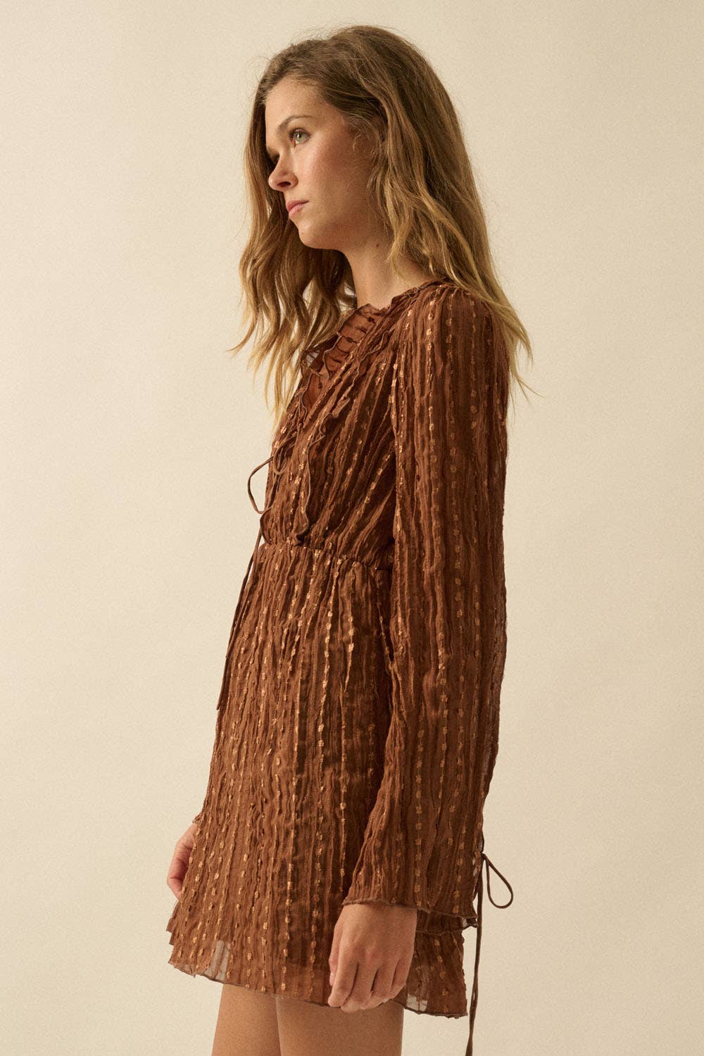 Selena Embroidered Chiffon Dress