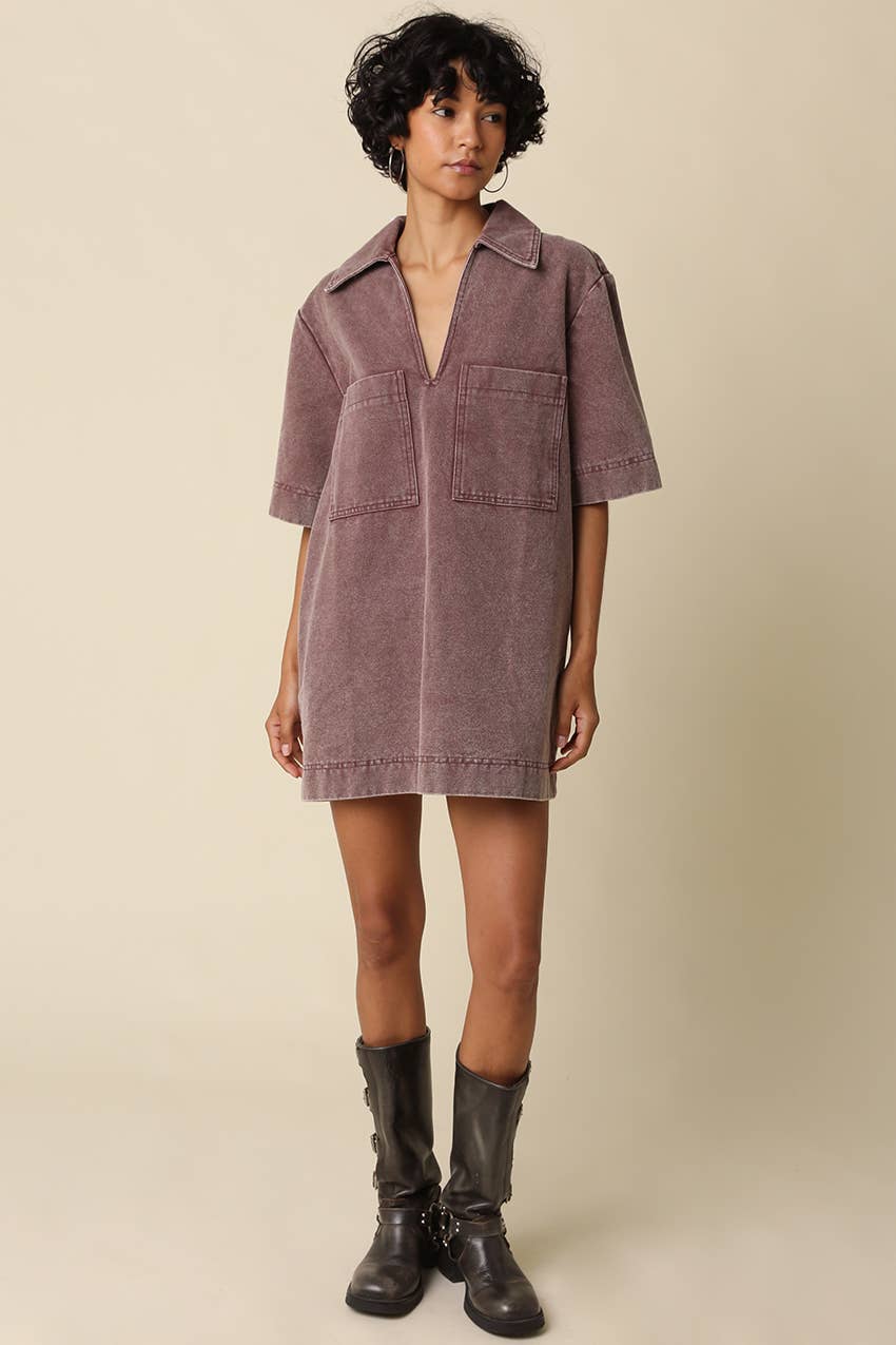 Rosie Collared Mini Dress