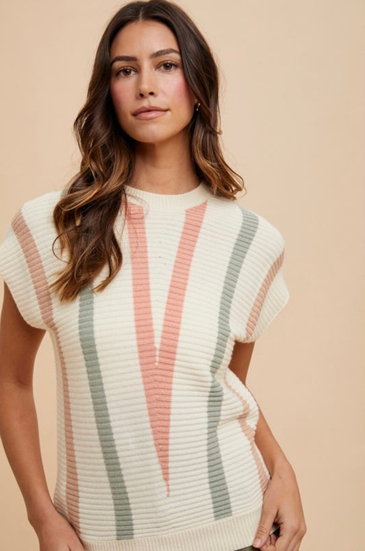 Multi Color Striped Sweater Top